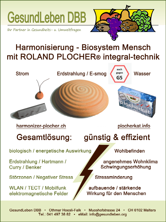 Plocher Schweiz Gesundleben DBB Harmonisierungskonzept