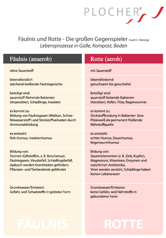 Plocher Schweiz Gesundleben DBB Tabelle Rotte kontra Fäulnis
