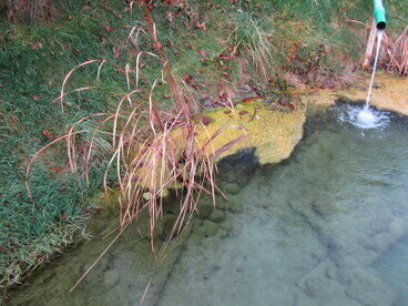 Plocher Schweiz Gesundleben DBB Teich schlammabau nach 3 Monaten Plocher Schlammabau