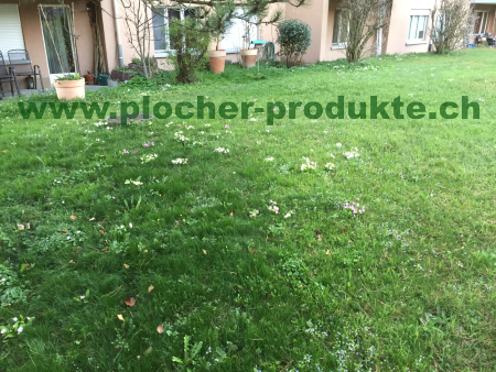 Plocher Schweiz Gesundleben DBB Wachstums Unterschied mit Plocher Humus Boden Plocher Schweiz Gesundleben DBB Wachstums Unterschied mit Plocher Humus Boden