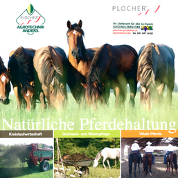 PLOCHER SCHWEIZ GESUNDLEBEN DBB Pferde Katalog
