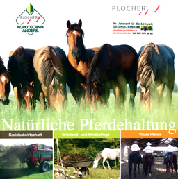 PLOCHER SCHWEIZ GESUNDLEBEN DBB Pferde Katalog