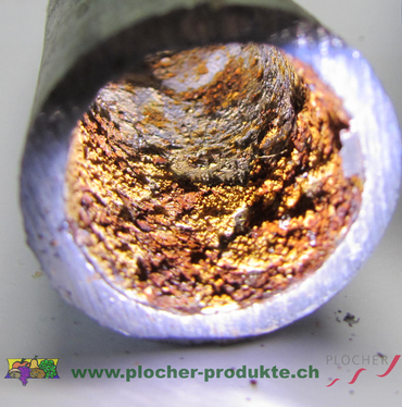 Plocher Schweiz Gesundleben DBB Teure Sanitärkosten durch Rost Plocher Schweiz Gesundleben DBB Teure Sanitärkosten durch Rost