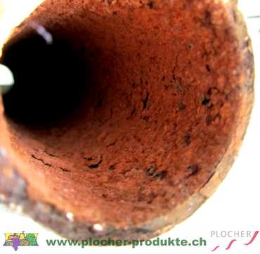 Plocher Schweiz Gesundleben DBB Hygieneprobleme mit Rost im Rohr Plocher Schweiz Gesundleben DBB Hygieneprobleme mit Rost im Rohr